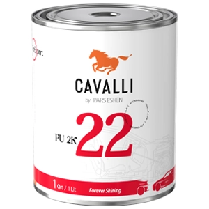 C4